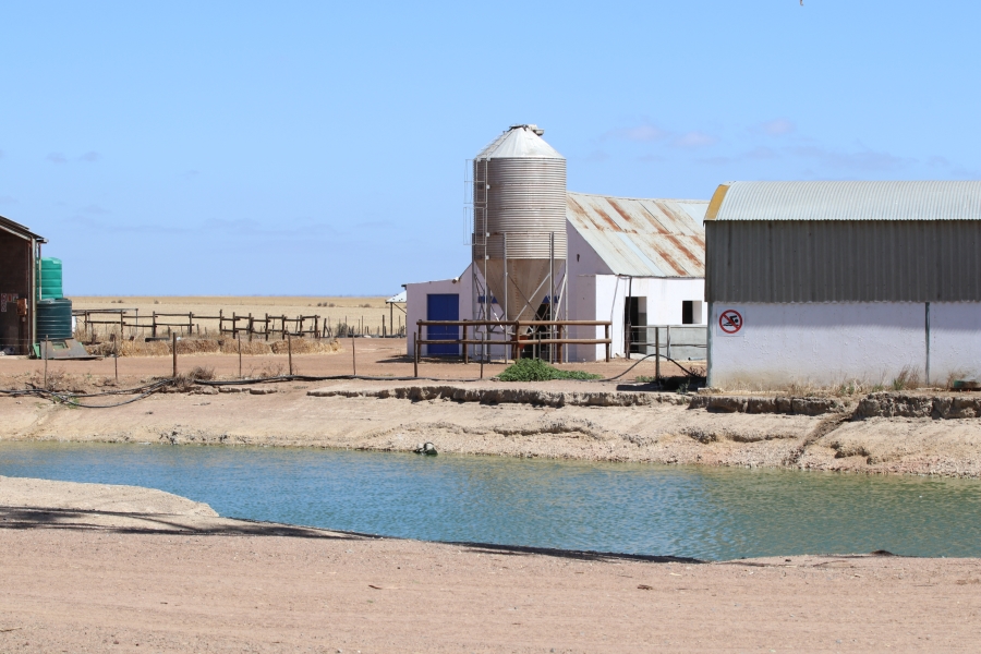 5 Bedroom Property for Sale in Darling Western Cape